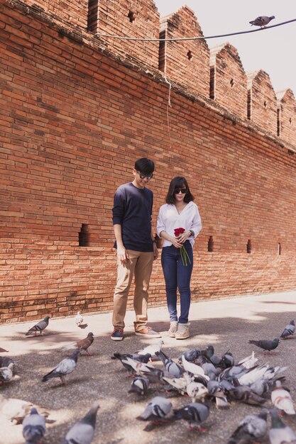Couple walking on a street with pigeons
