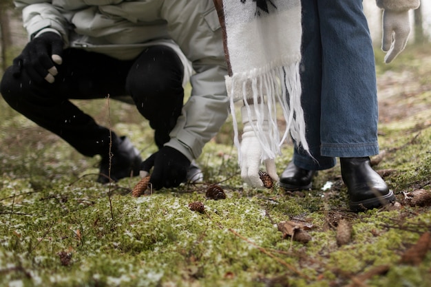 Пара в зимнем путешествии вместе собирает сосновые шишки в лесу