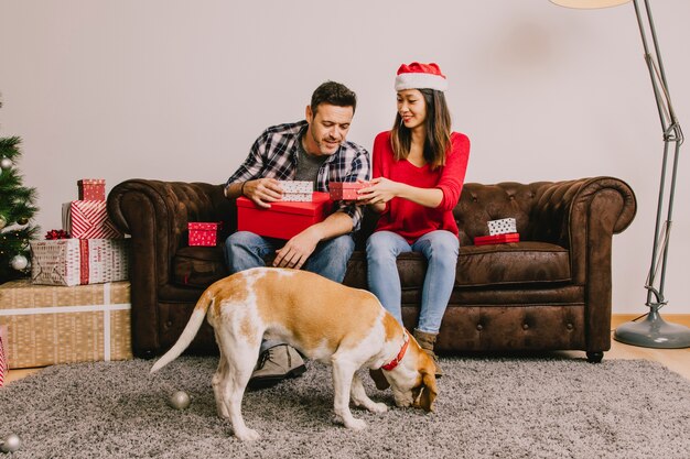 Couple with dog at christmas