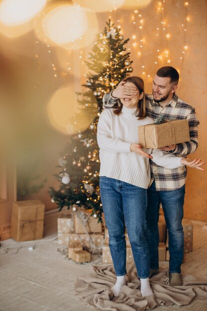 Couple with surprise present by the Christmas tree