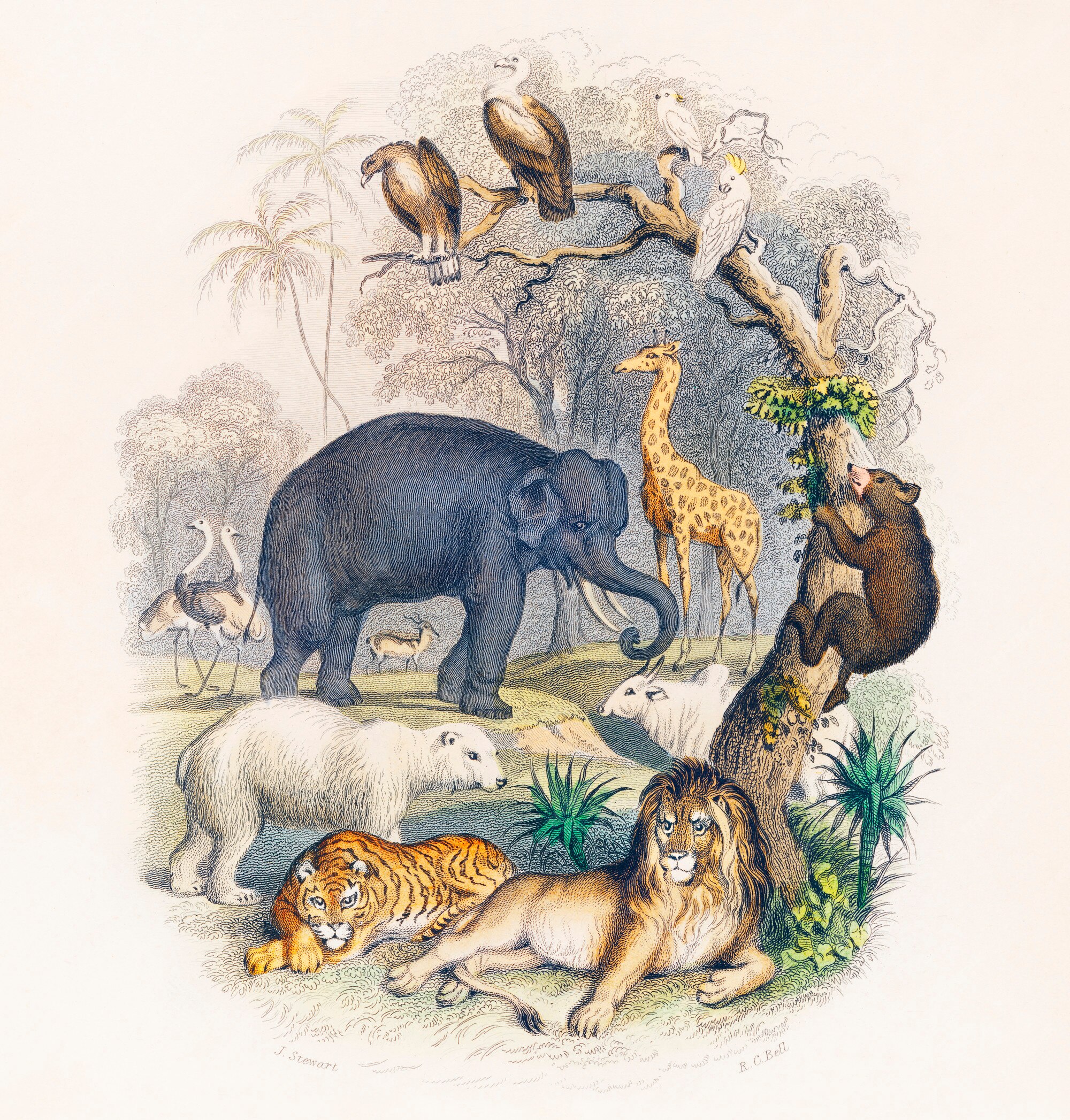 Animal Art Images - Free Download on Freepik Animal Art Images - Free Download on Freepik