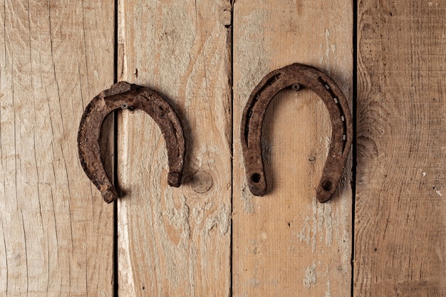 Old Rusty Horseshoe Hanging On A Nail Closeup Stock Photo, Picture and  Royalty Free Image. Image 103863409.