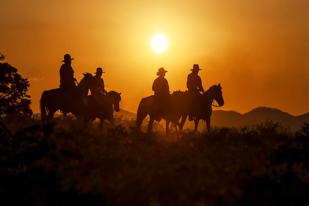 cowboy silhouette riding a horse when the sunset looks beautiful