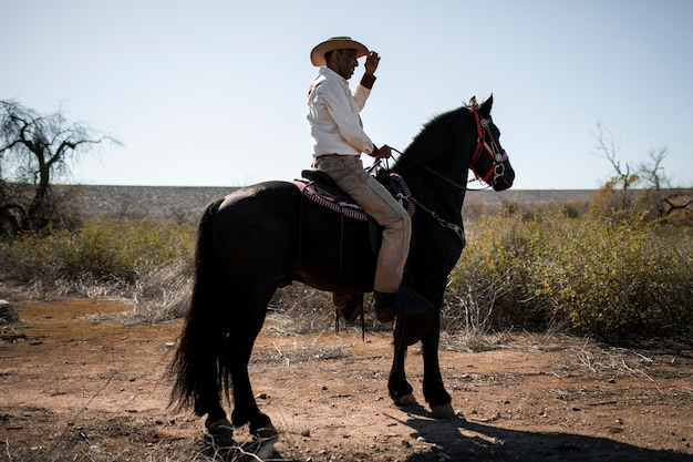 Cowboy silhouette with horse against warm light