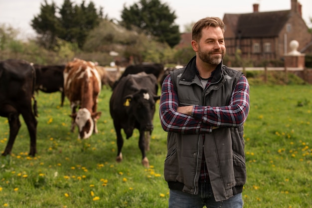 Free photo cows grazing around farm