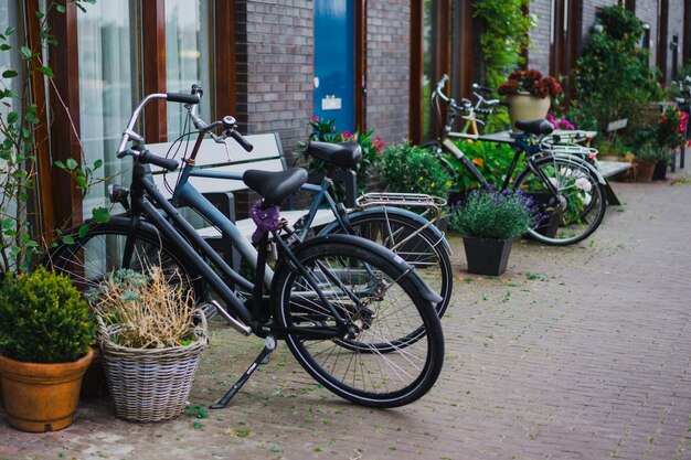 アムステルダムの居心地の良い中庭、ベンチ、自転車、浴槽の中の花。