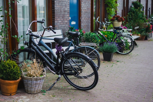 cozy courtyards of Amsterdam, benches, bicycles, flowers in tubs.