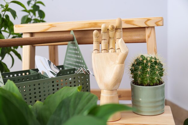 Cozy hobby growing indoor plants at home