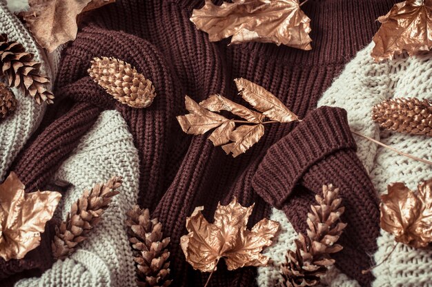 Cozy sweaters and gold leaves .
