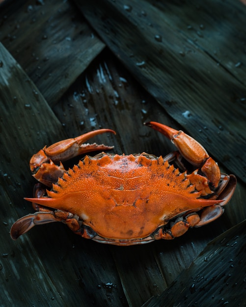 A crab on black surface