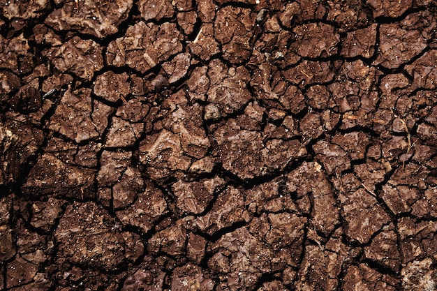 ひびの入った乾燥褐色土壌表面写真