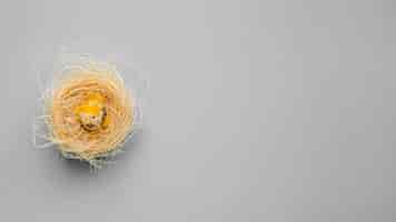 Free photo cracked egg in nest