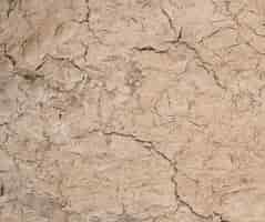 Free photo cracked ground texture background