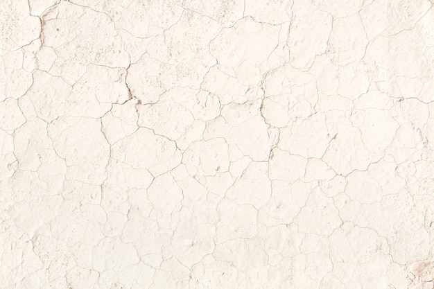 Cracked pale beige earth