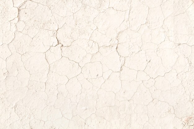 Cracked pale beige earth