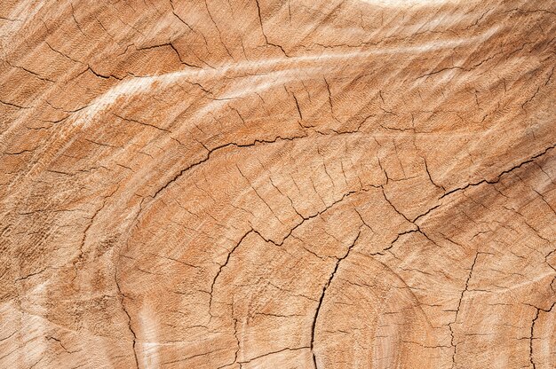 Трещины текстуры древесины