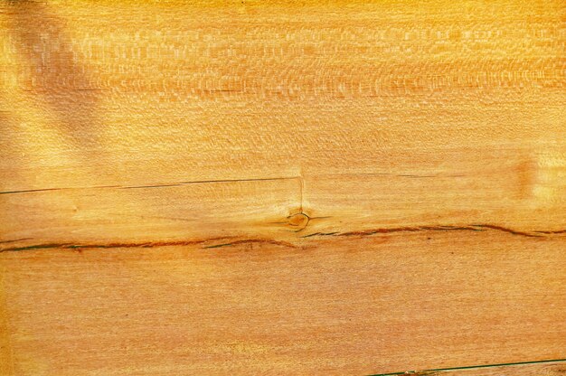 трещины древесины