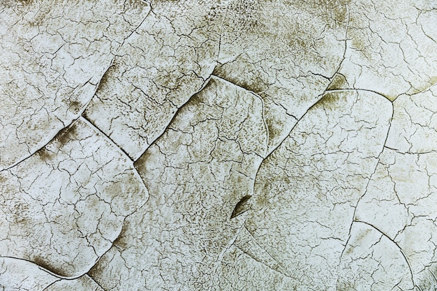Cracks and moss in cement wall surface