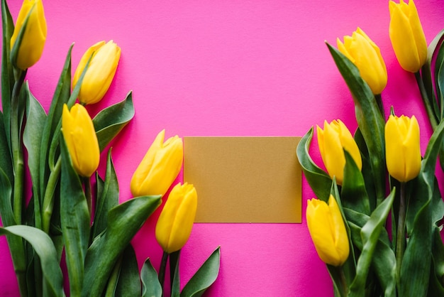 Золотая открытка с тюльпанами на розовом пастельном фоне. место для сообщения. концепция цветов. праздничная открытка на день святого валентина.