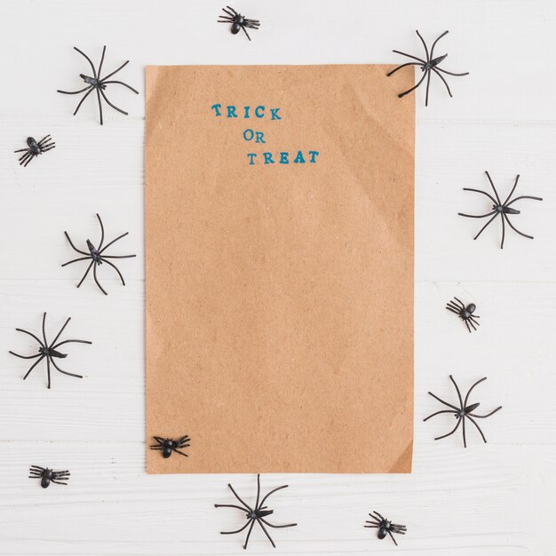 Craft paper near mini decorating spiders