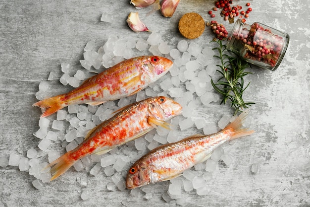 Free photo creative arrangement of raw fish