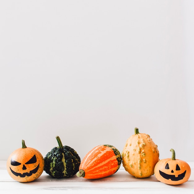 Creative assorted composition of pumpkins