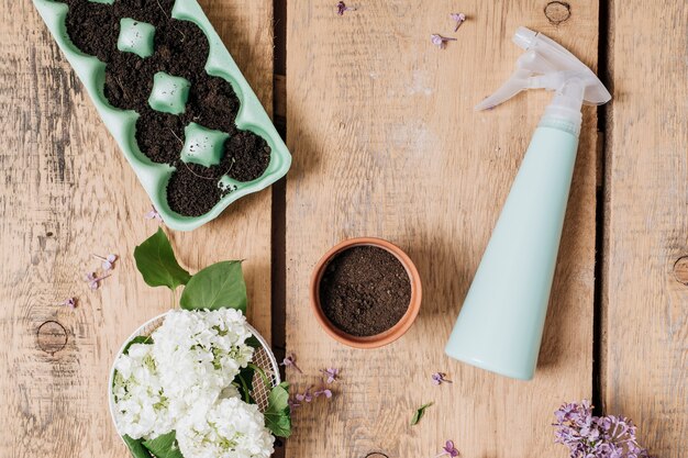 Creative flat lay gardening concept