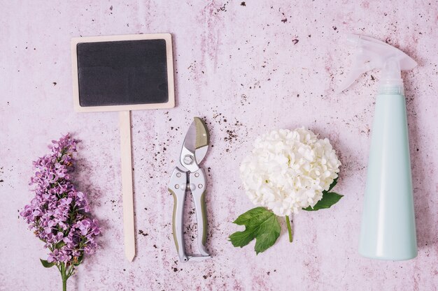 Creative flat lay gardening concept