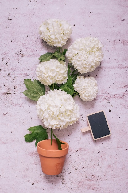 Creative flat lay gardening concept