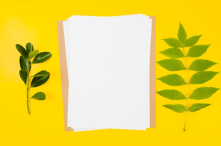 मुफ़्त फोटो creative flat lay paper mockup