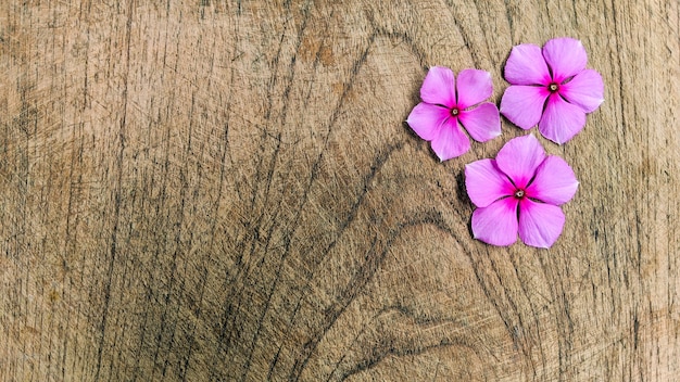 Creative layout made of purple flowers on wooden