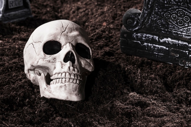 할로윈 밤에 묘지에서 소 름 끼치는 인간의 두개골