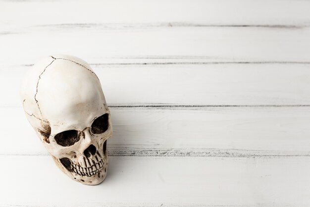 Creepy skull on white table