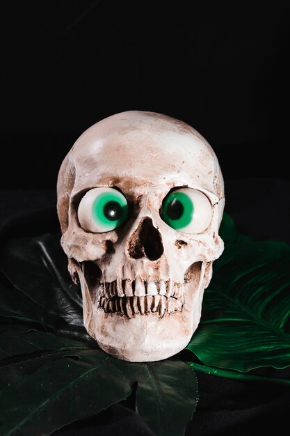 Creepy skull with toy eyeballs