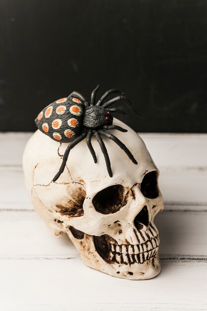 Creepy toy spider on human skull