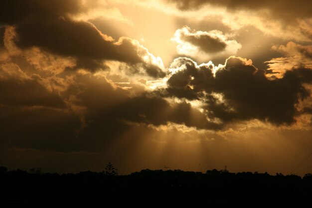 Crepuscular Rays