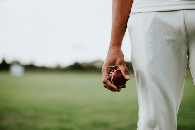 Бесплатное фото Игрок в крикет, держащий кожаный мяч