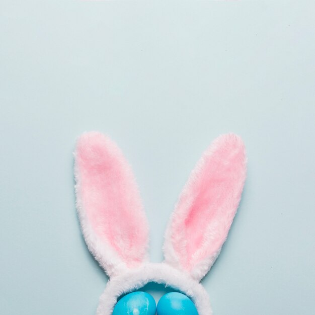 Уши кроликов и яйца