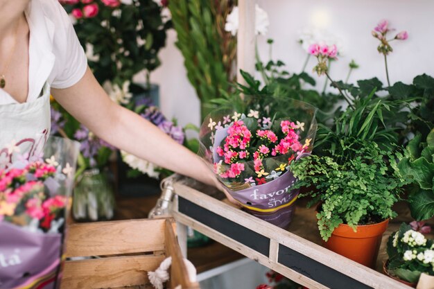Crop florist arranging flowers in shop