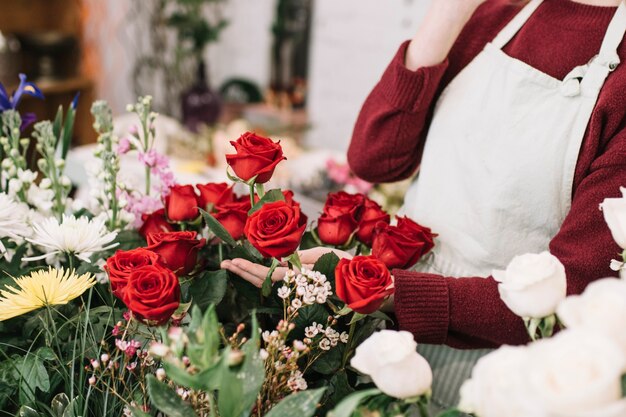 Crop florist touching red roses