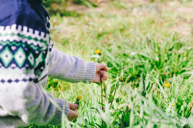 Crop girl picking flowers