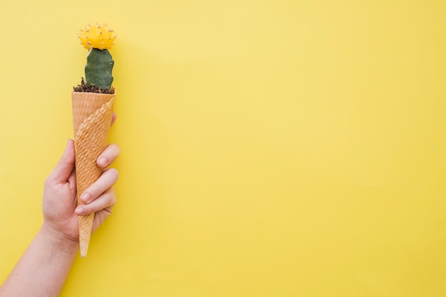 Free photo crop hand holding cone with cactus