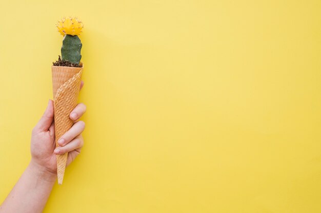 Crop hand holding cone with cactus