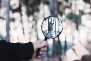 Free photo crop hand holding magnifying glass in forest