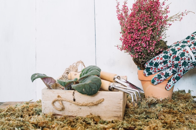 Crop hand holding potted plant