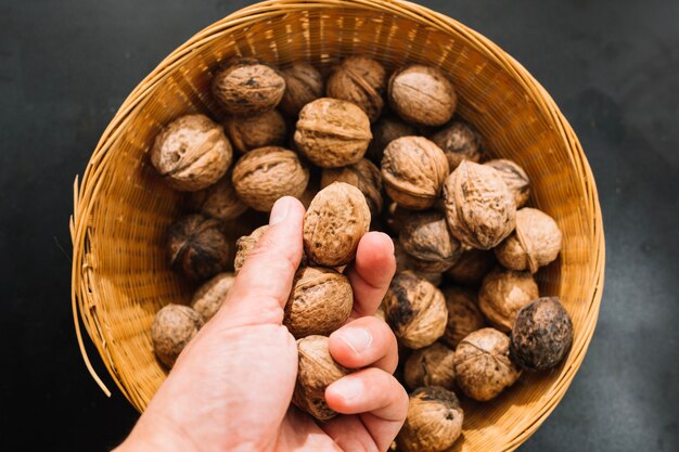 Crop hand holding walnut