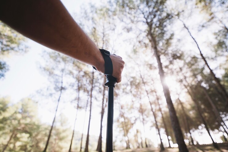 Free Photo crop hand of man in forest
