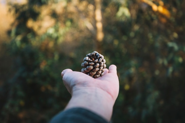 Crop hand with cone