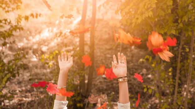 Crop hands throwing autumn leaves