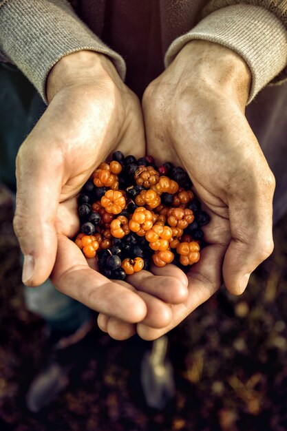 Crop hands with pile of berries